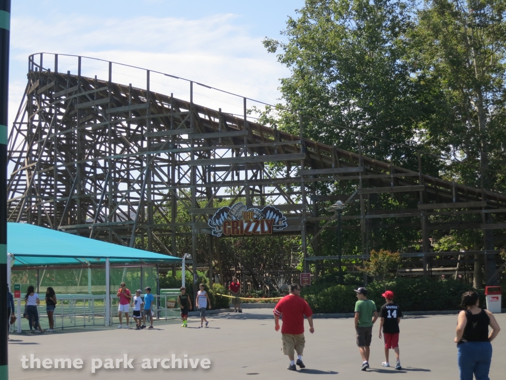 Grizzly at California's Great America