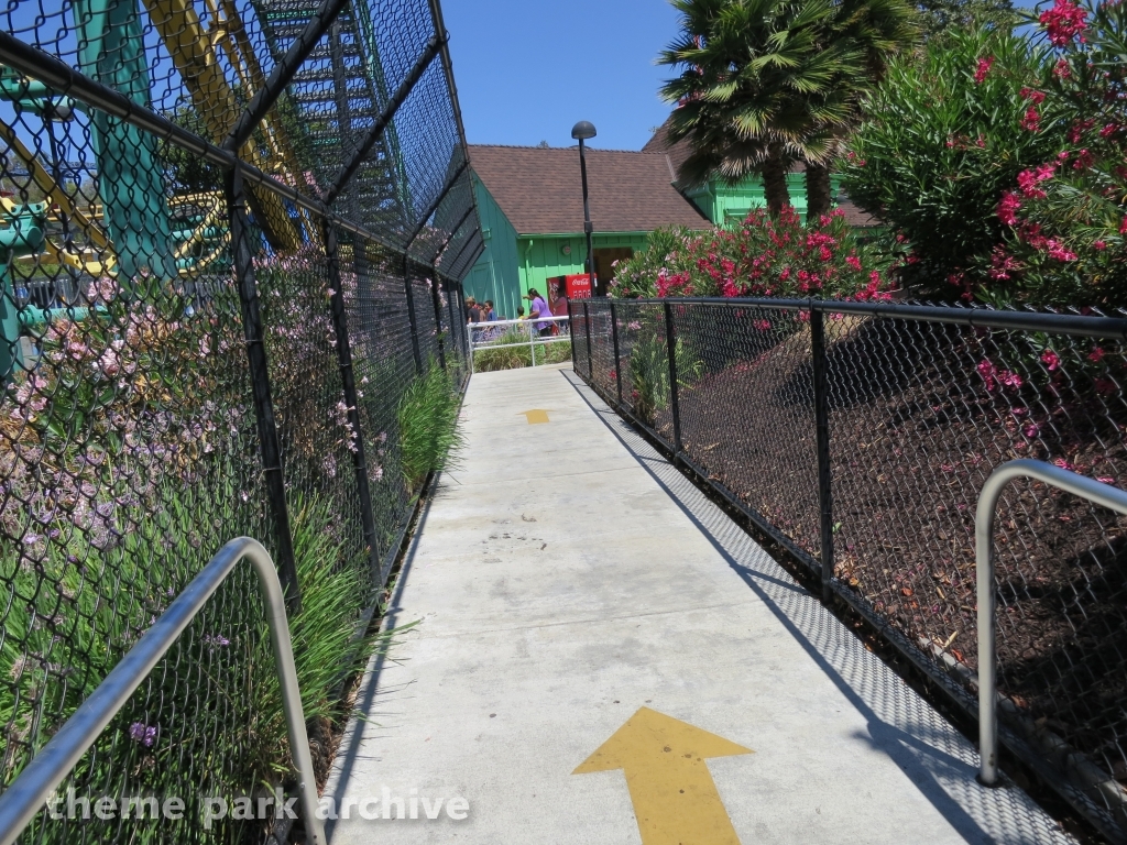 Psycho Mouse at California's Great America