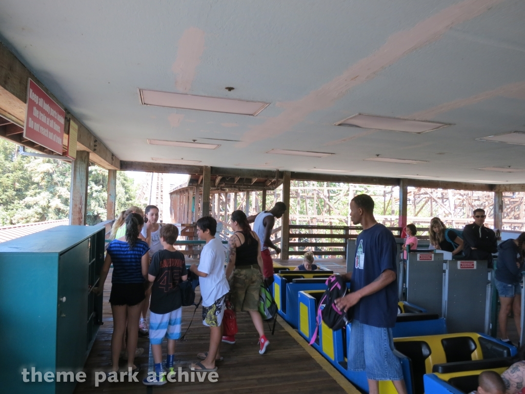 Grizzly at California's Great America