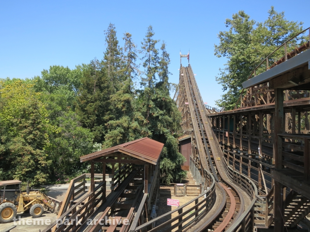 Grizzly at California's Great America