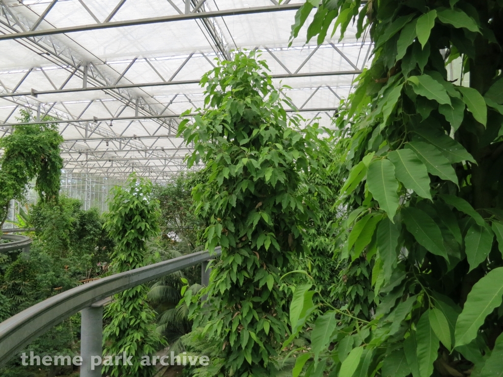 Monarch Garden at Gilroy Gardens