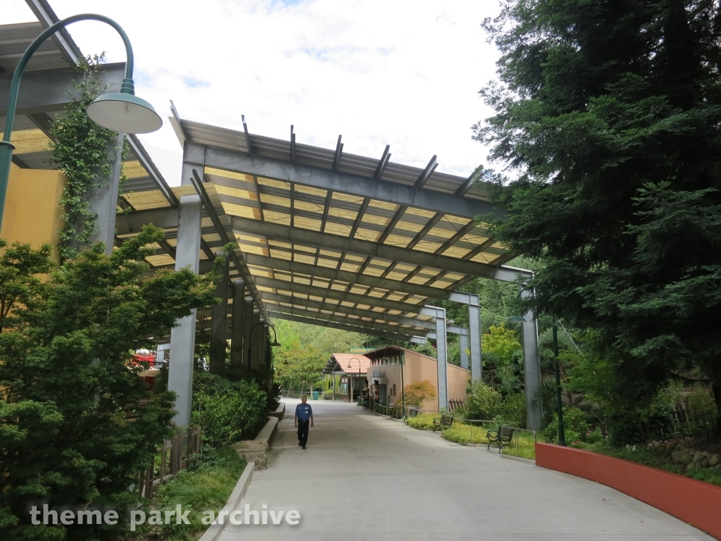 Camellia Garden at Gilroy Gardens