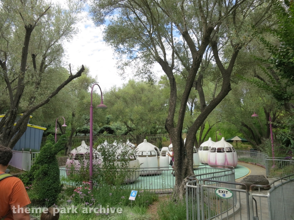 Garlic Twirl at Gilroy Gardens