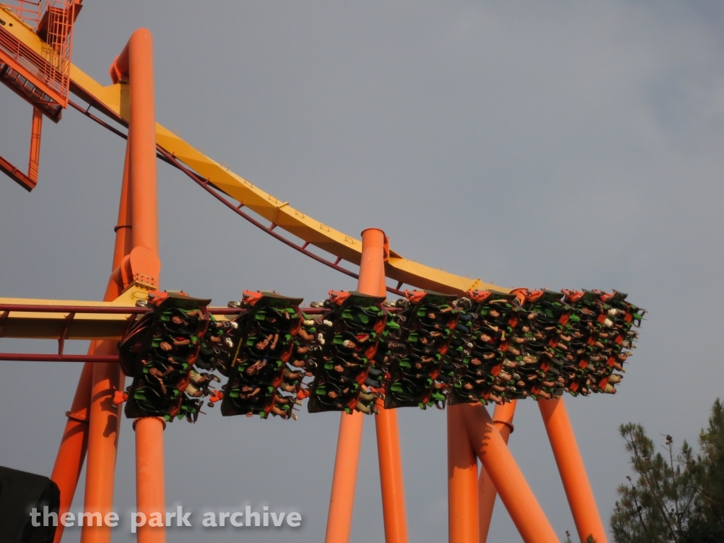 Tatsu at Six Flags Magic Mountain
