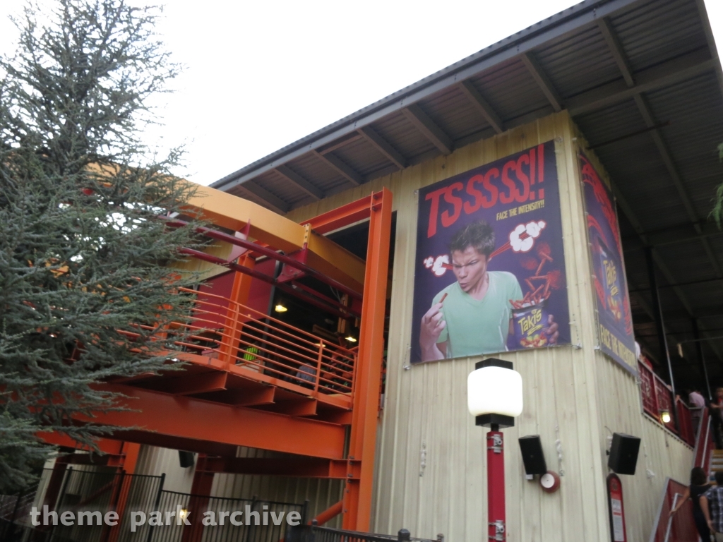 Tatsu at Six Flags Magic Mountain