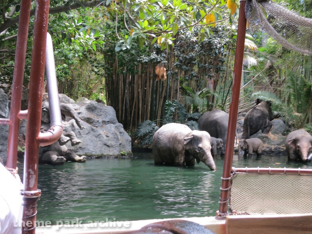 Jungle Cruise at Disney California Adventure