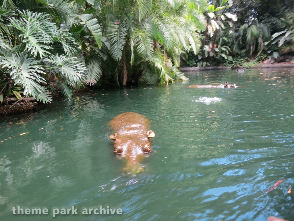 Jungle Cruise at Disney California Adventure