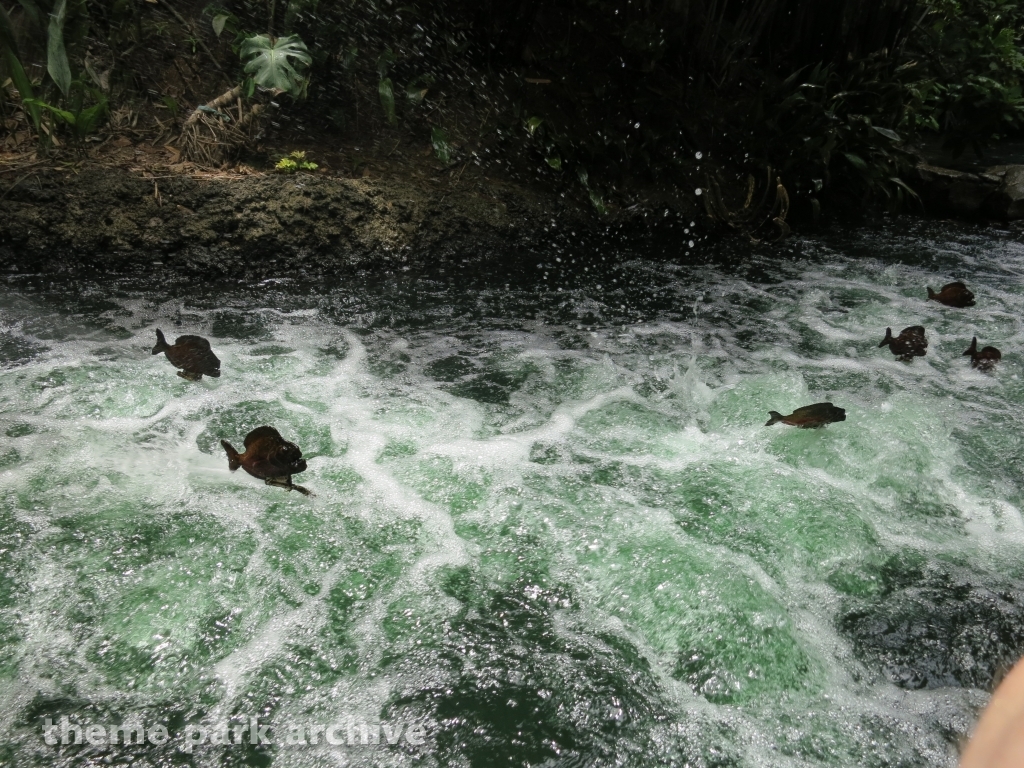 Jungle Cruise at Disney California Adventure