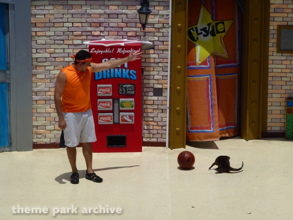 Sea Lion and Otter Stadium at SeaWorld San Diego
