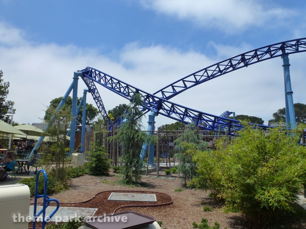 Manta at SeaWorld San Diego