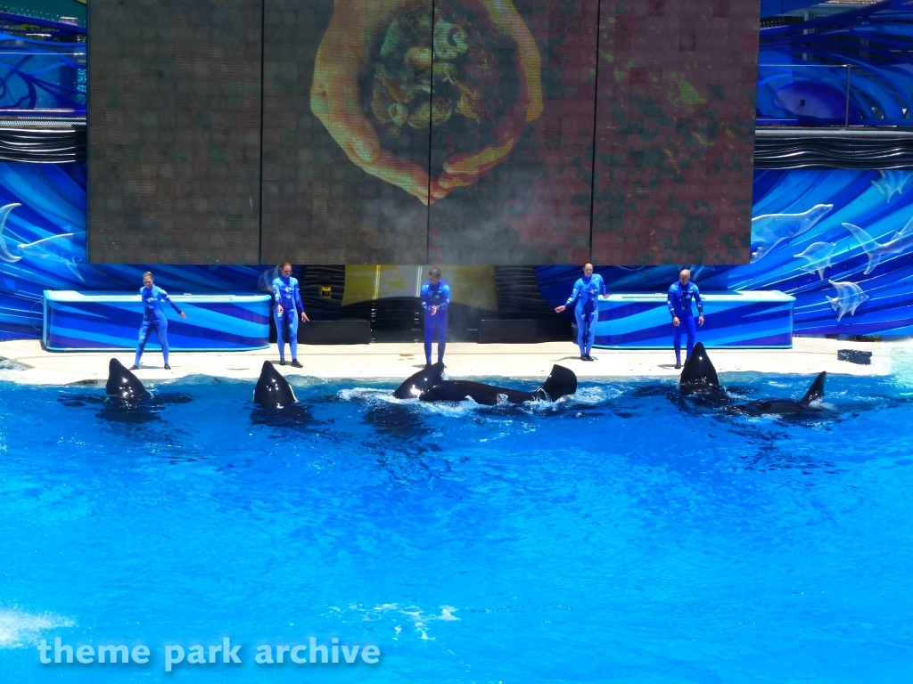Shamu Stadium at SeaWorld San Diego