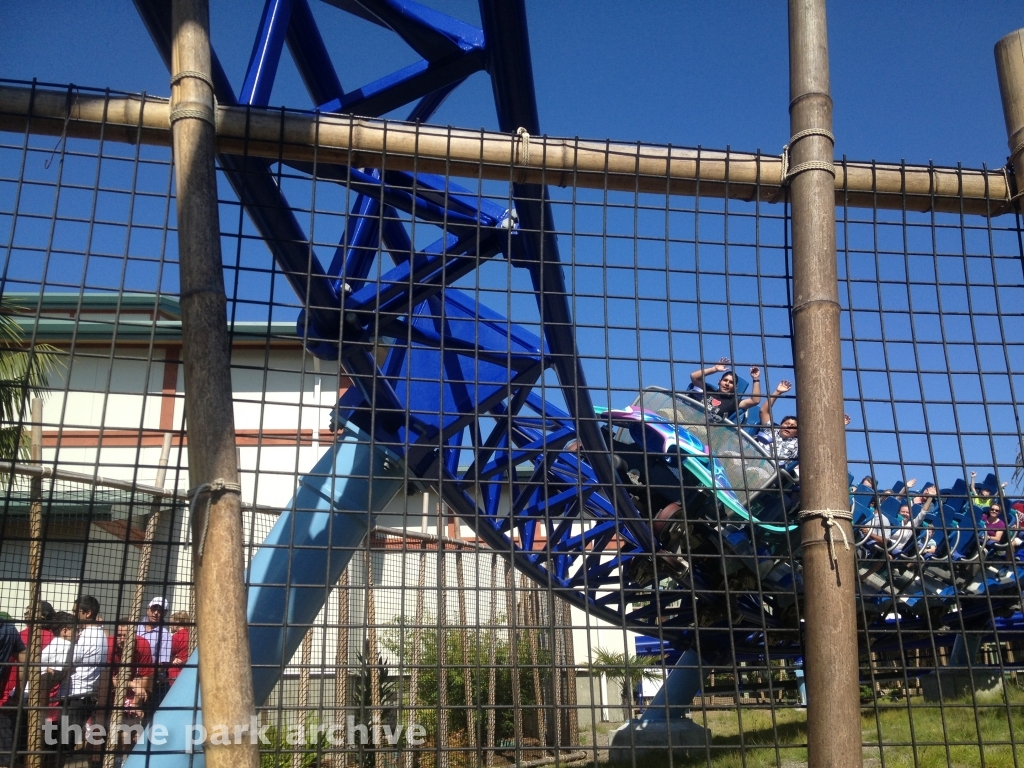 Manta at SeaWorld San Diego