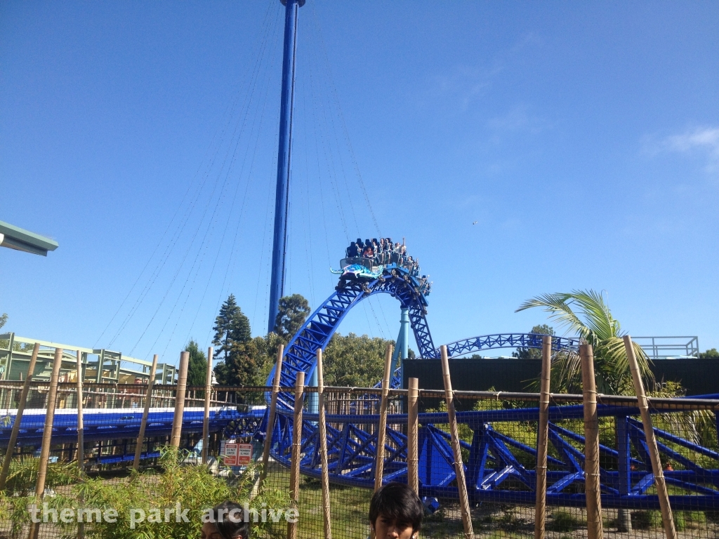 Manta at SeaWorld San Diego