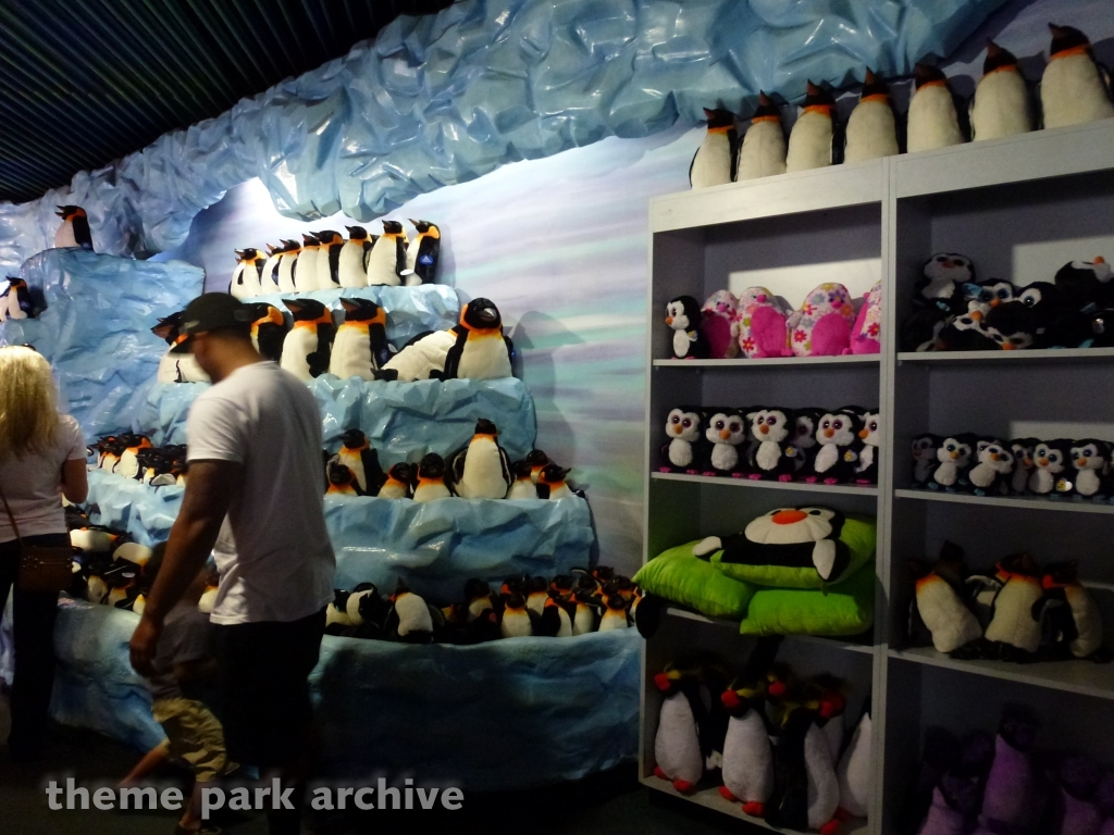 Penguin Encounter at SeaWorld San Diego