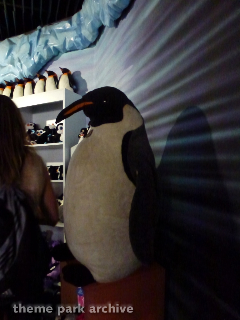 Penguin Encounter at SeaWorld San Diego
