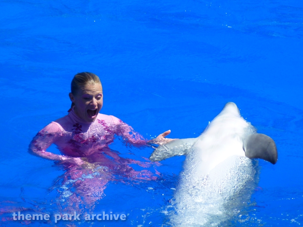 Blue Horizons at SeaWorld San Diego