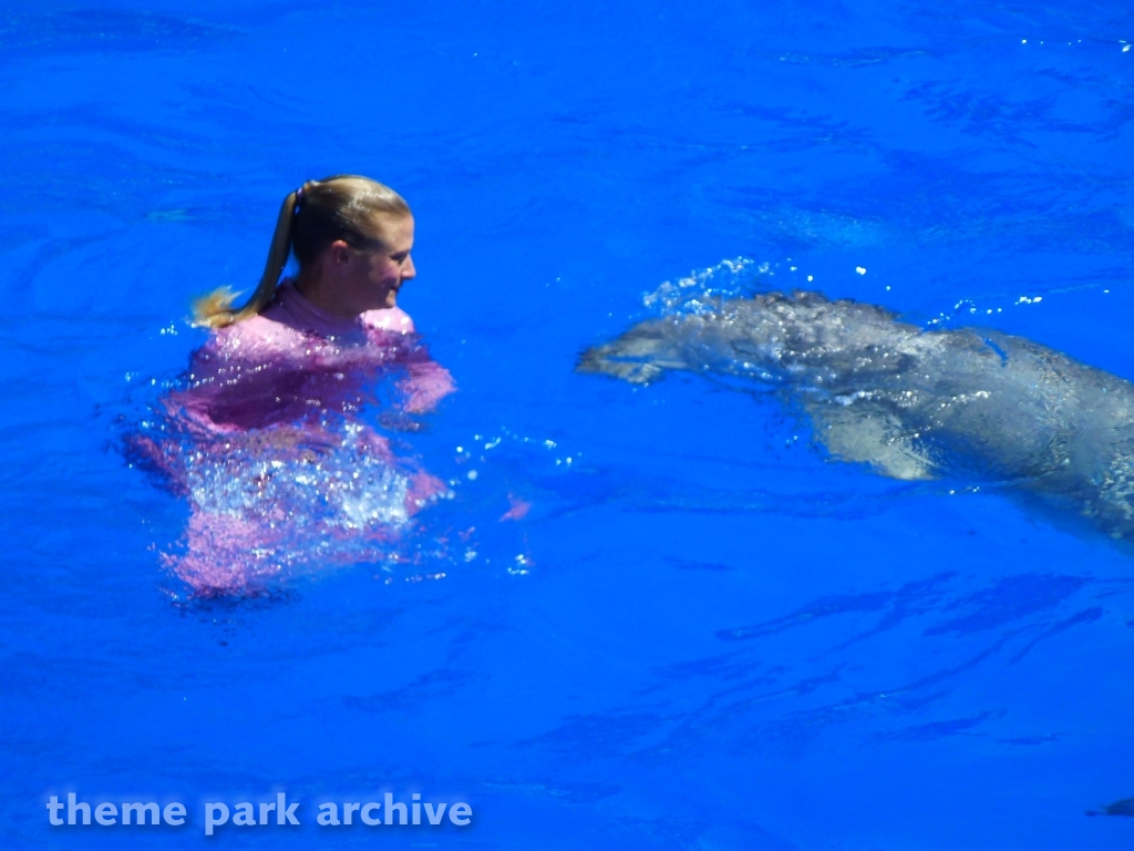 Blue Horizons at SeaWorld San Diego