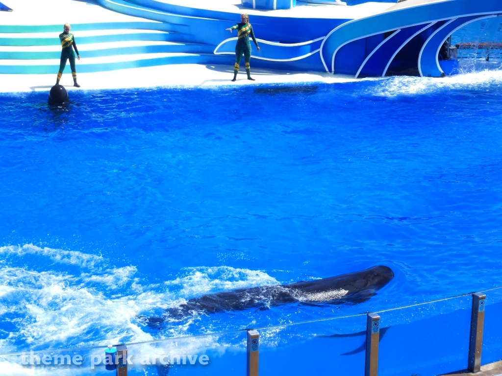 Blue Horizons at SeaWorld San Diego