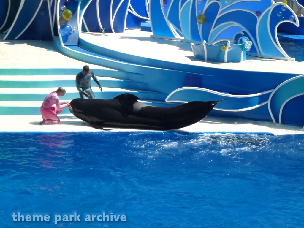 Blue Horizons at SeaWorld San Diego