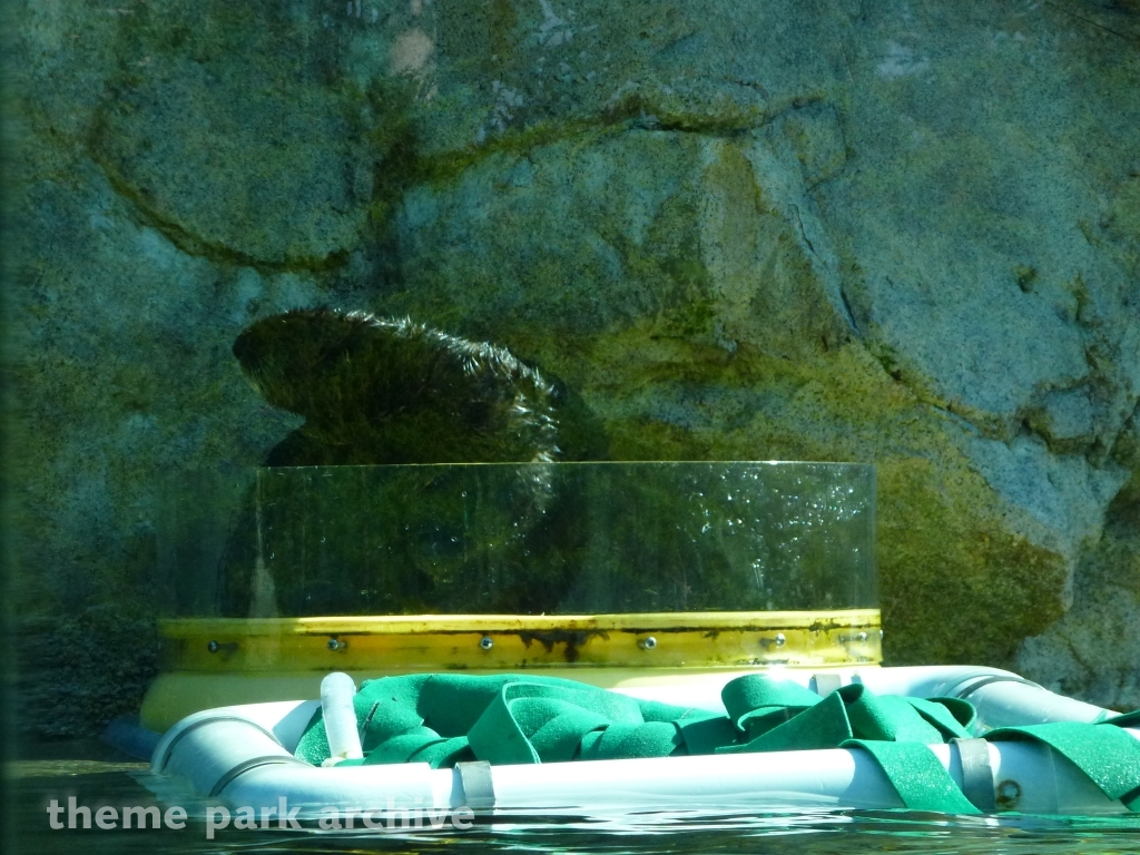 Pacific Point at SeaWorld San Diego