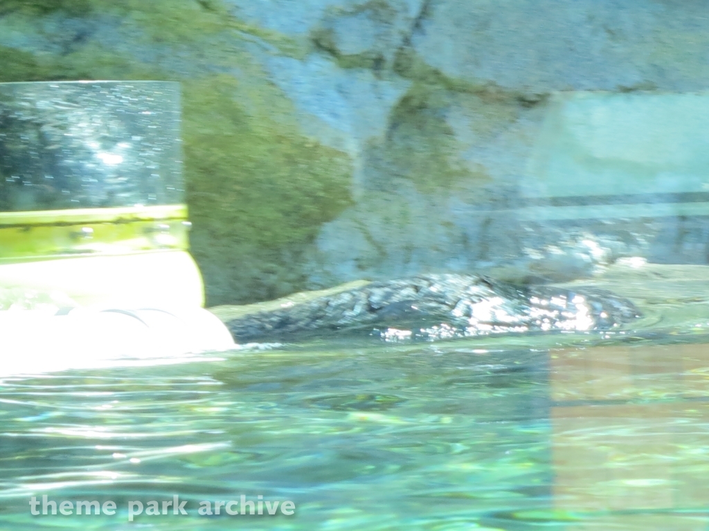 Pacific Point at SeaWorld San Diego