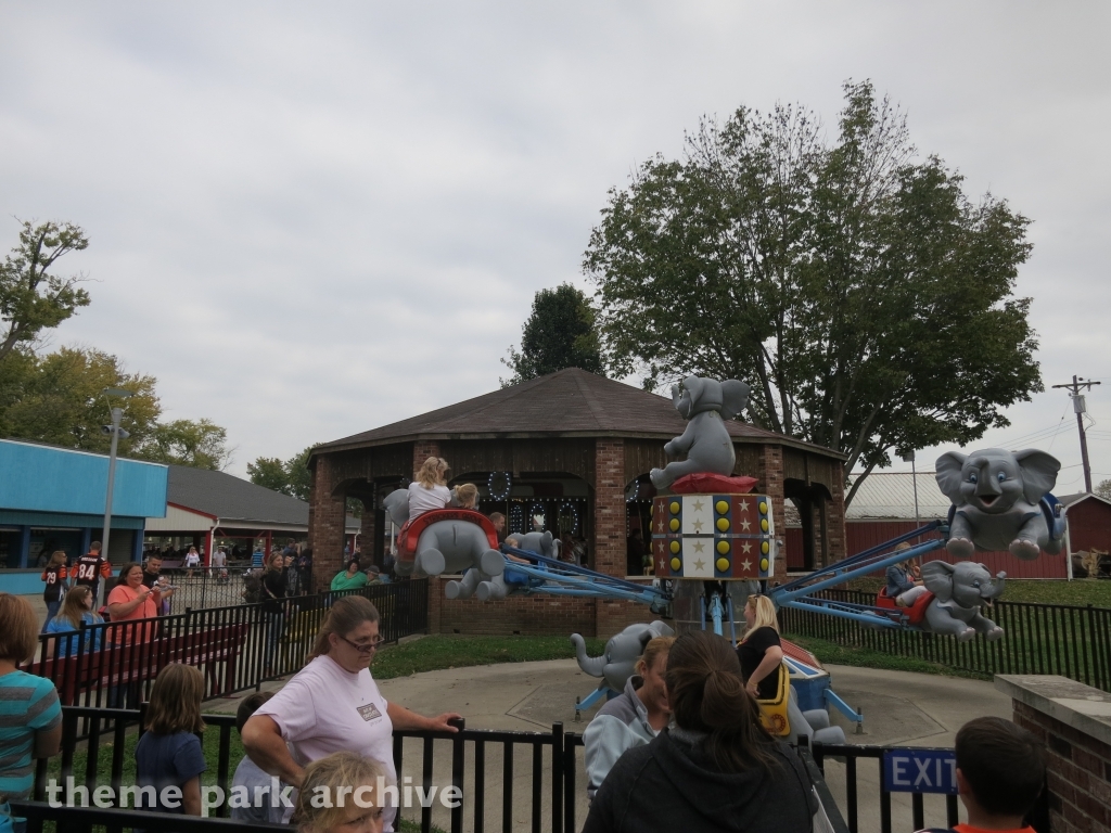 Elephants at Stricker's Grove
