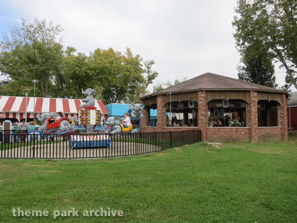 Elephants at Stricker's Grove