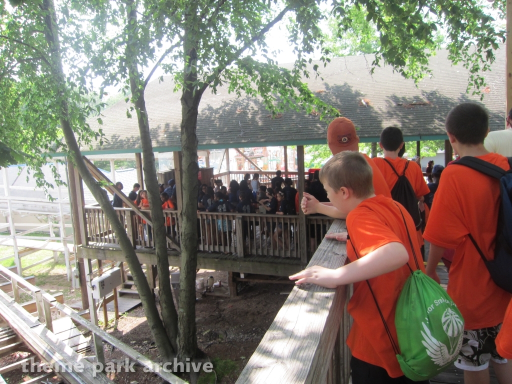 Wildcat at Lake Compounce
