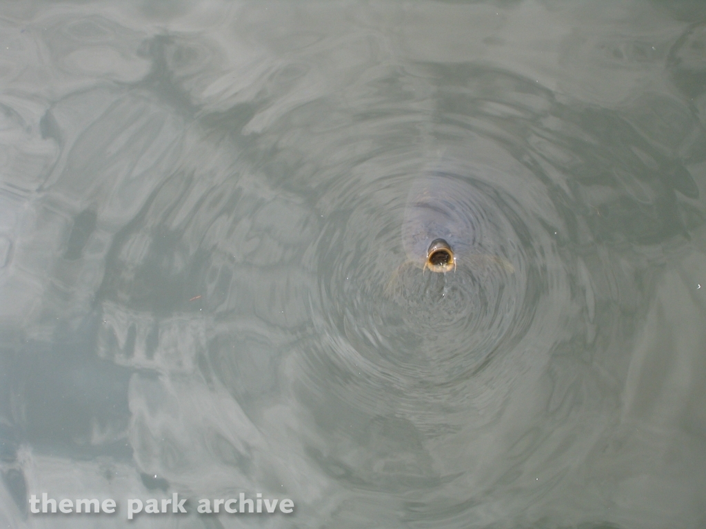 Wildwater Kingdom at Geauga Lake