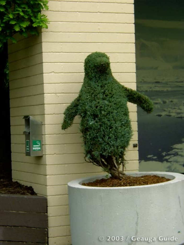 Penguin Experience at Geauga Lake