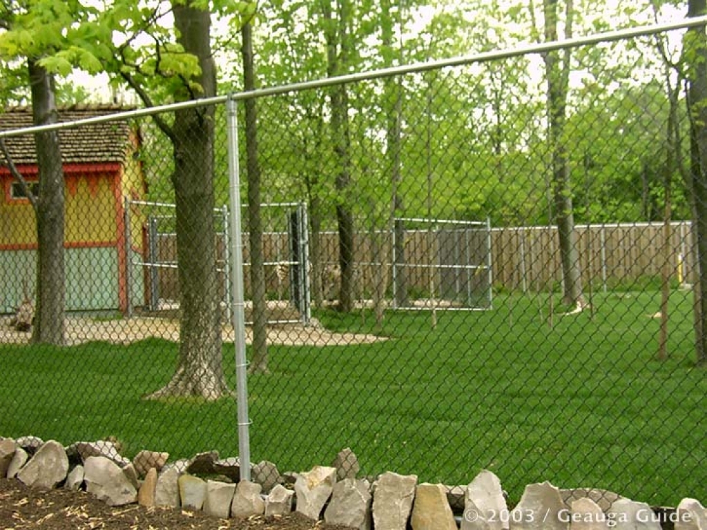 Base Camp Zebra at Geauga Lake