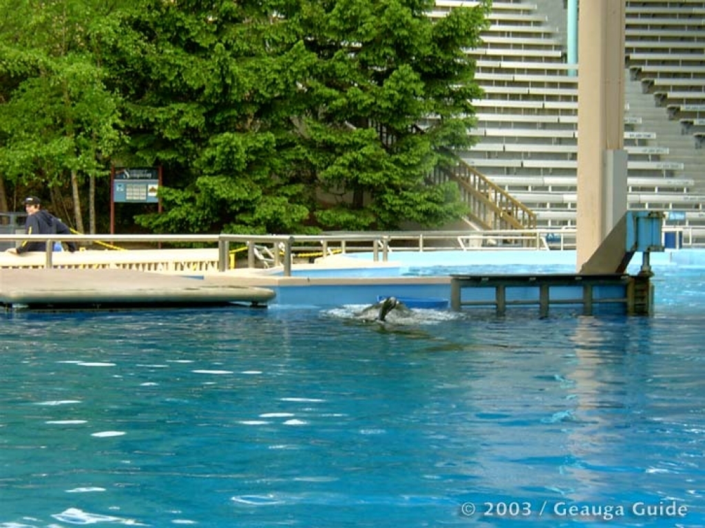 Killer Whale Stadium at Geauga Lake