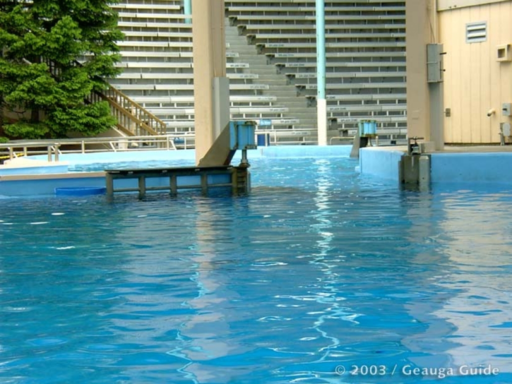 Killer Whale Stadium at Geauga Lake
