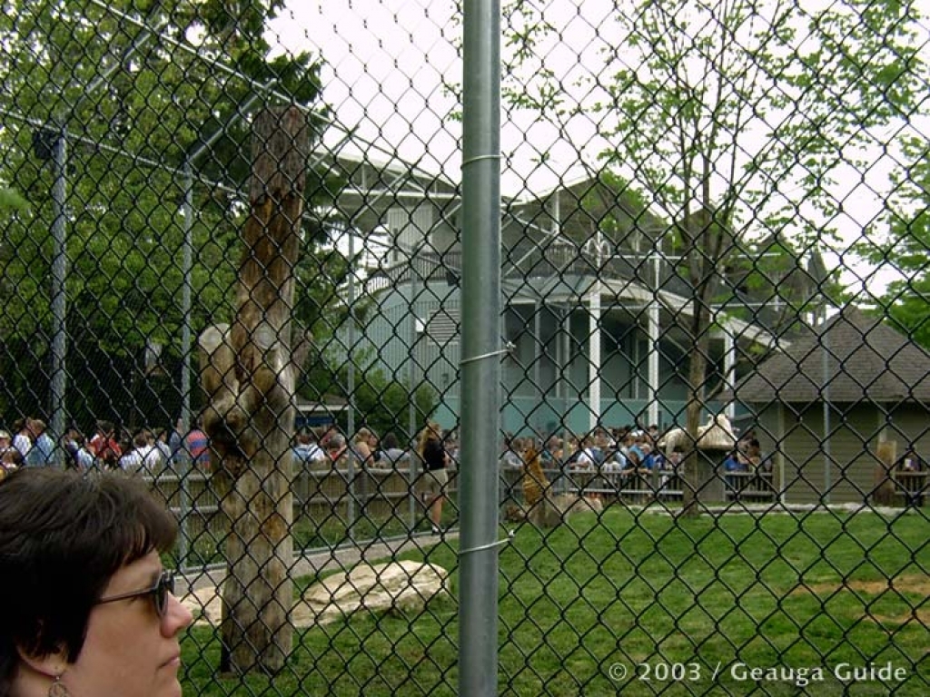 Tiger Island at Geauga Lake