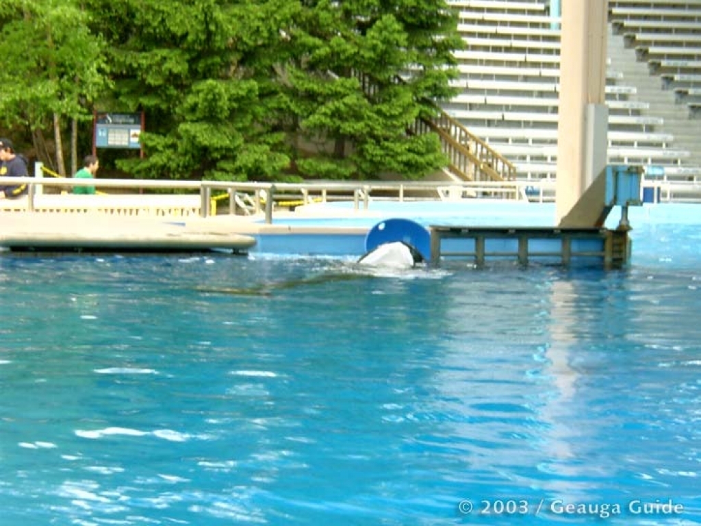 Killer Whale Stadium at Geauga Lake