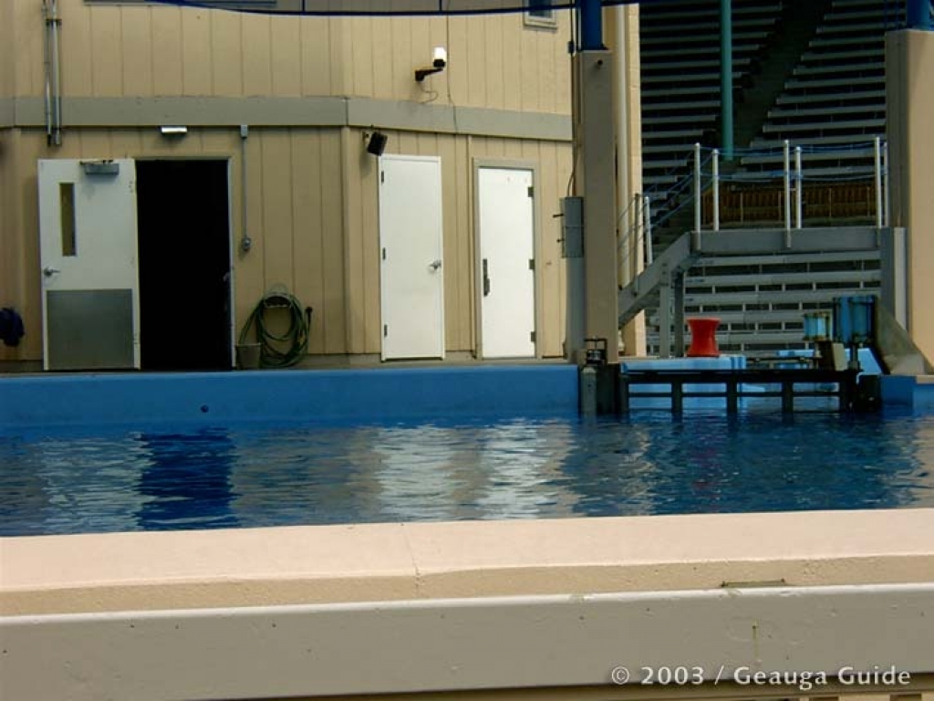 Killer Whale Stadium at Geauga Lake