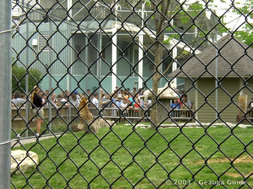Tiger Island at Geauga Lake
