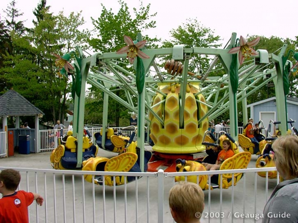 Thriller Bees at Geauga Lake