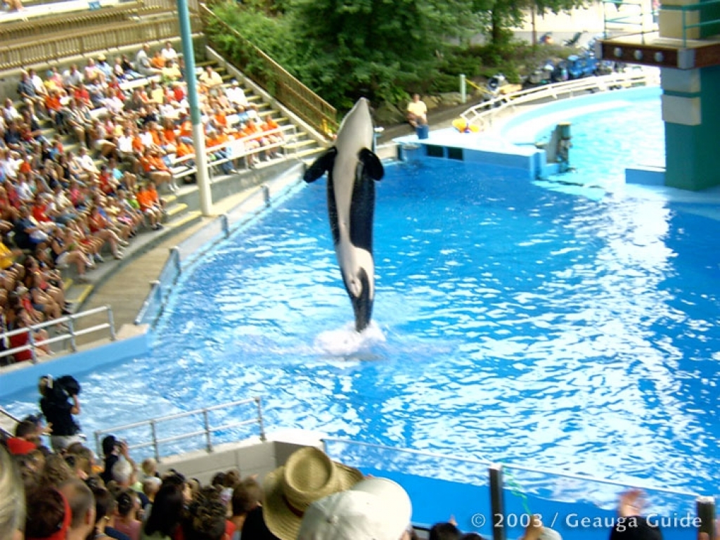 Killer Whale Stadium at Geauga Lake
