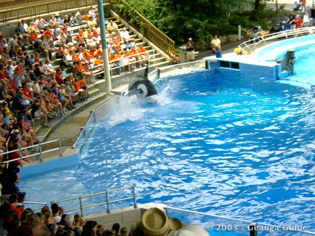 Killer Whale Stadium at Geauga Lake