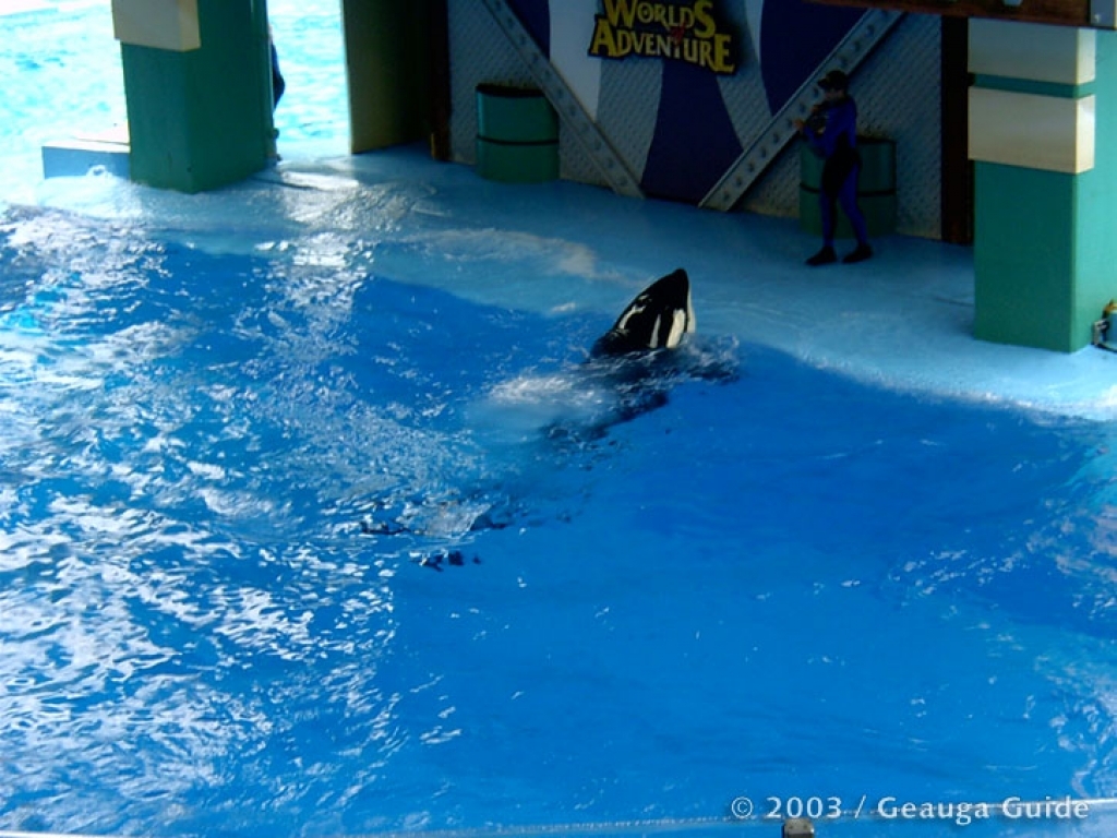 Killer Whale Stadium at Geauga Lake