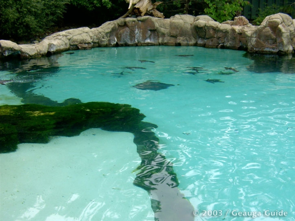 Patagonia Point at Geauga Lake