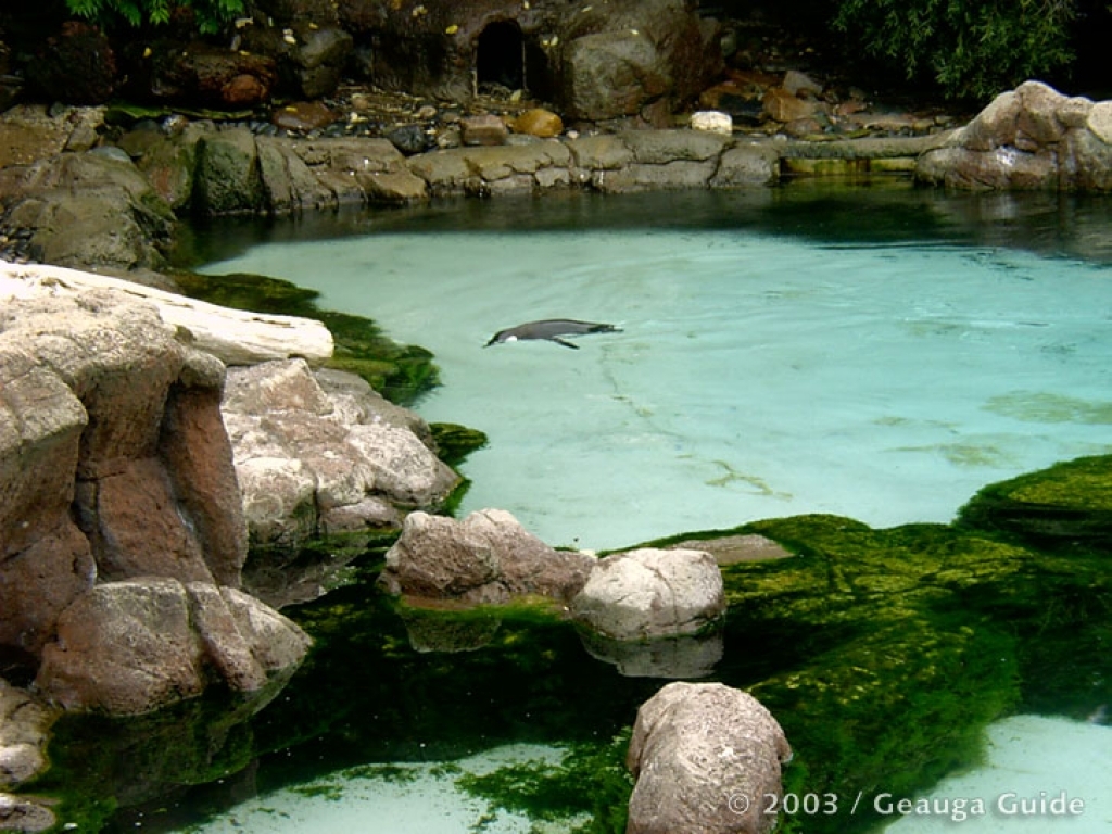 Patagonia Point at Geauga Lake