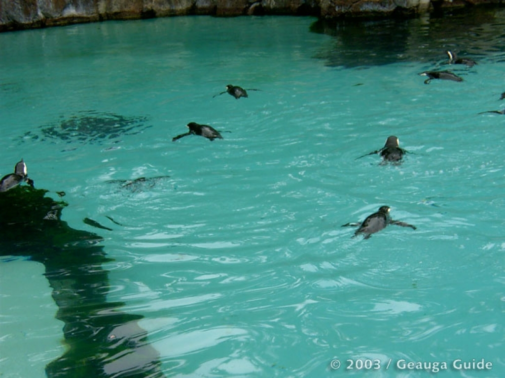 Patagonia Point at Geauga Lake