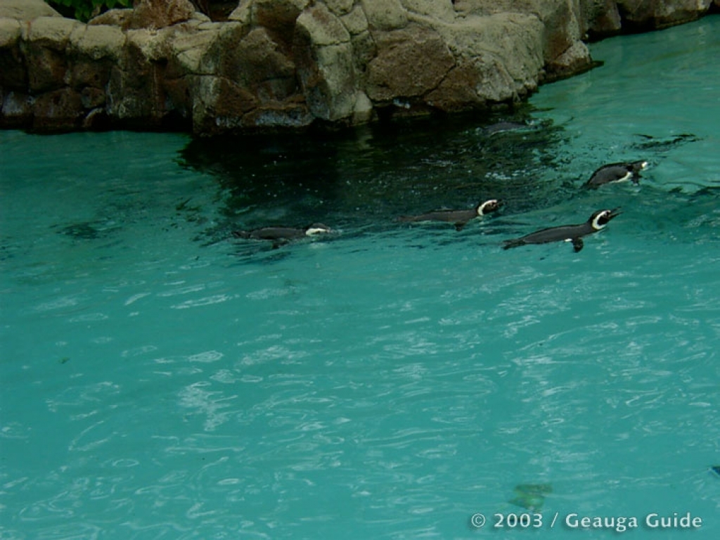 Patagonia Point at Geauga Lake