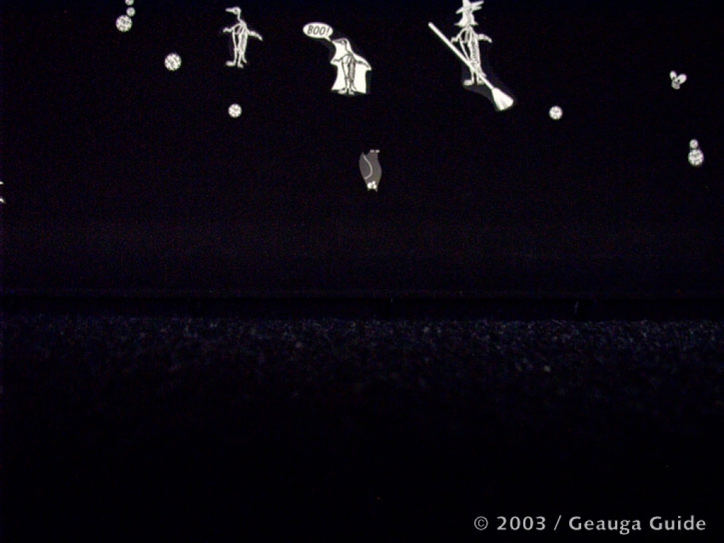 Penguin Experience at Geauga Lake