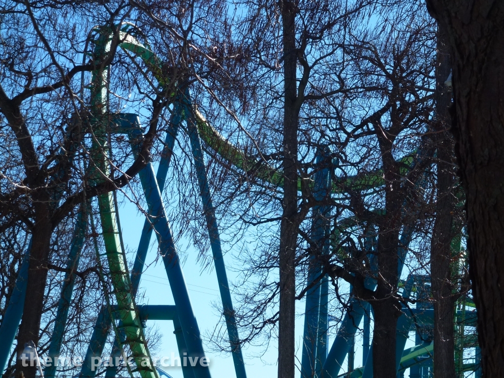 Raptor at Cedar Point