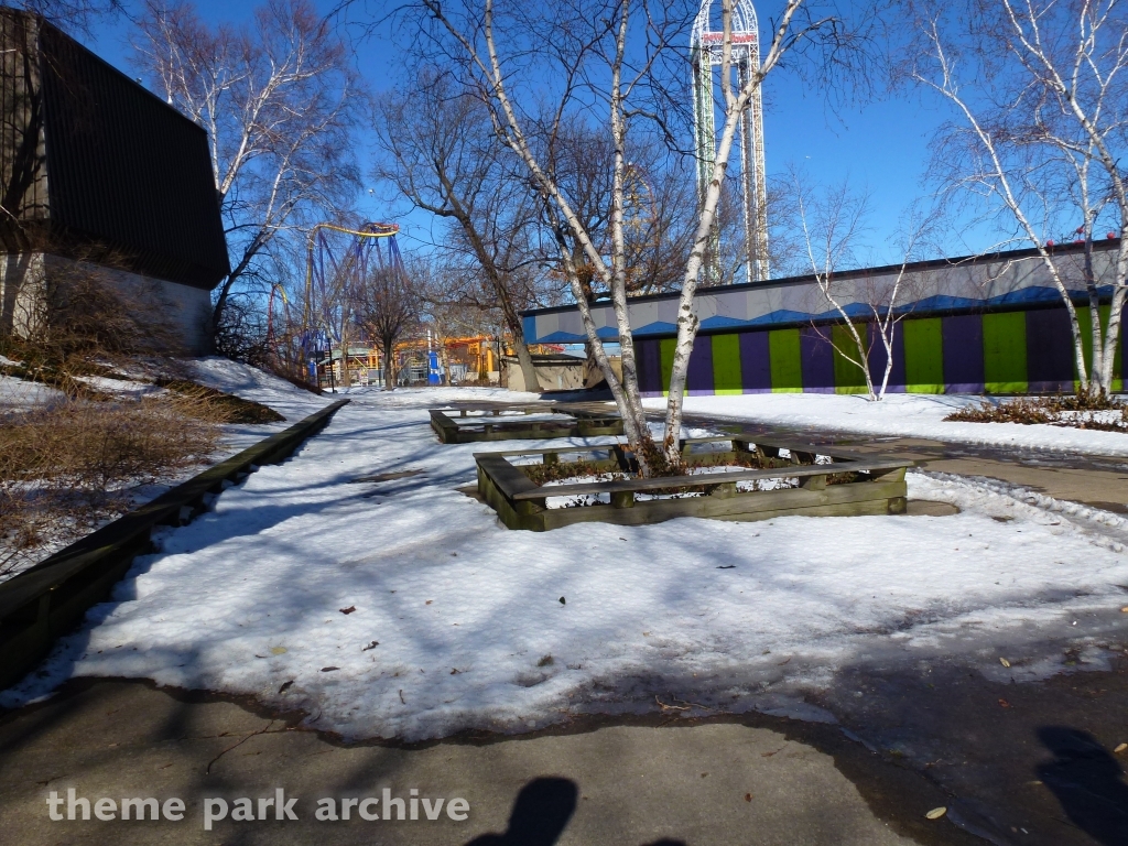 Dodgem at Cedar Point