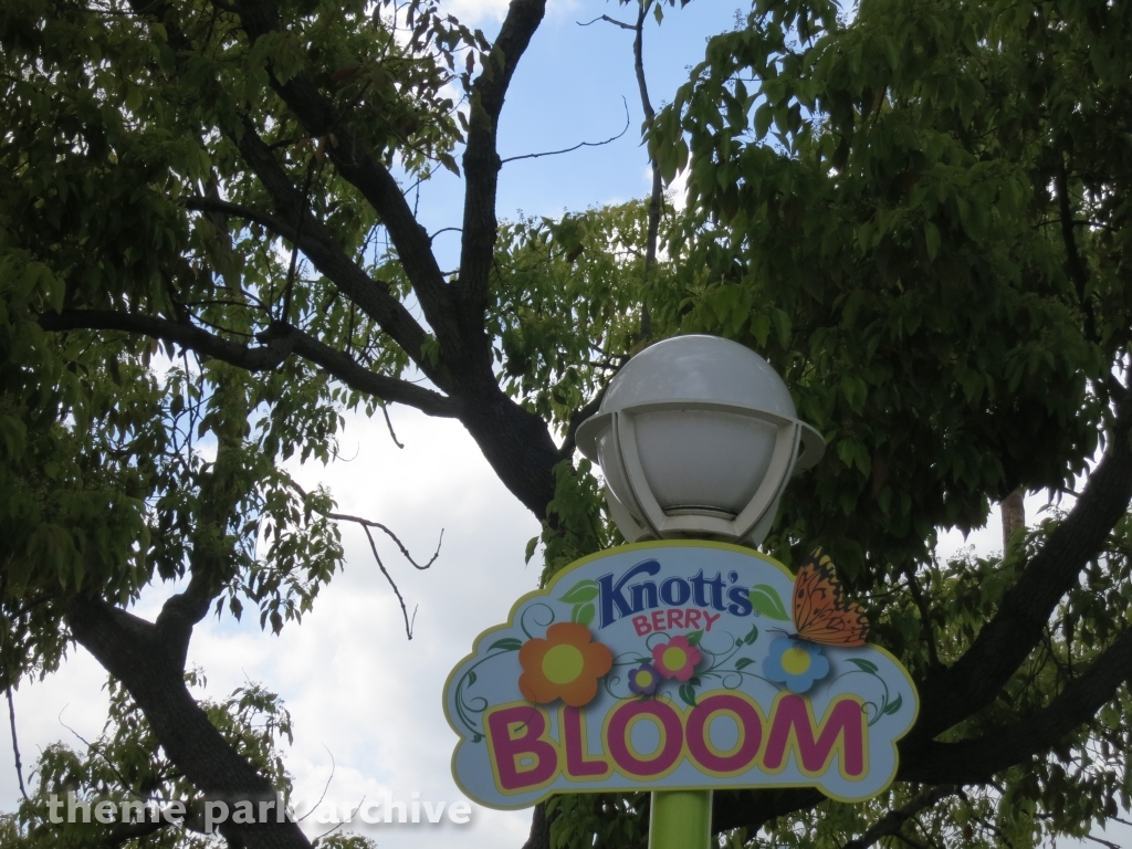 Boardwalk at Knott's Berry Farm