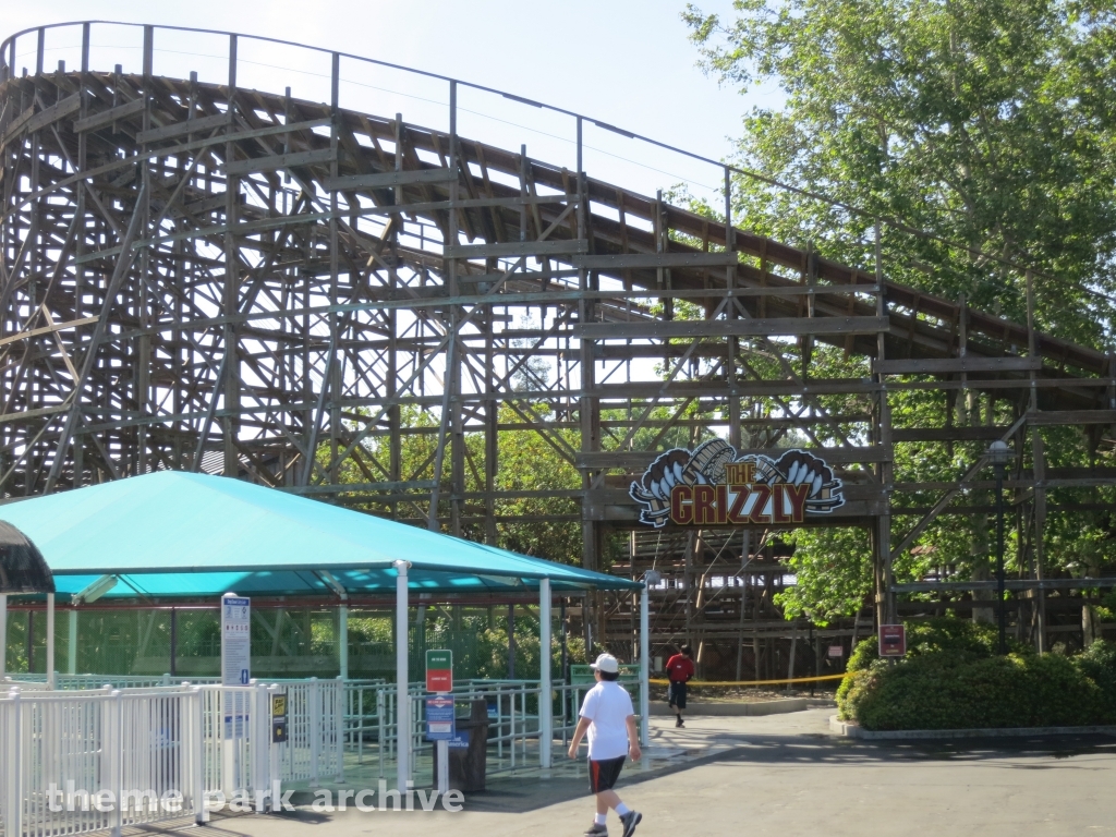 Grizzly at California's Great America